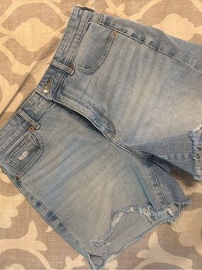 American Eagle Outfitters Highest Rise Baggy Short